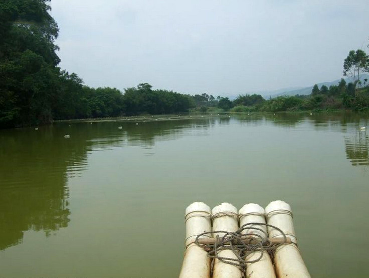 捕鱼技巧矿泉水瓶,爸爸捕鱼记