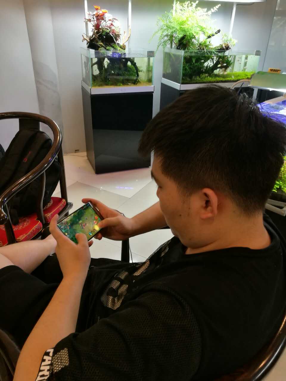 水陆缸造景雨林用的什么石头,普通鱼缸如何改造成雨林水陆缸