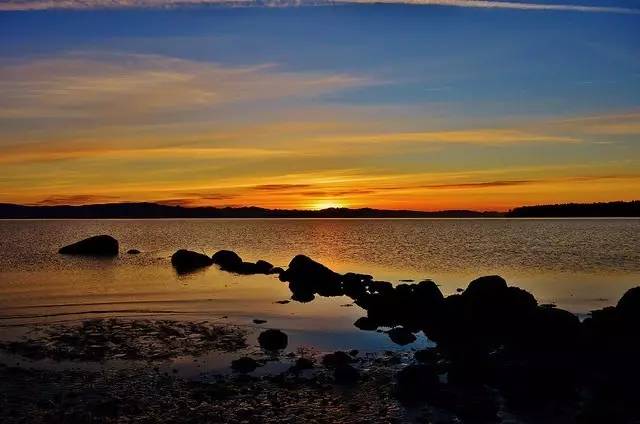 这个暑假来加拿大，有什么freestyle的新玩法？