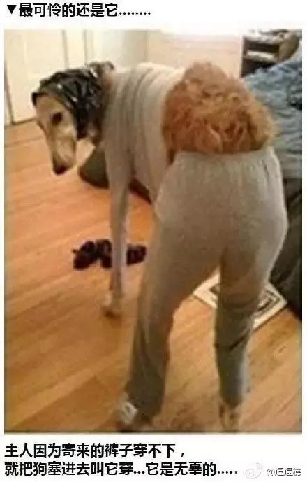 陈坤买茶壶还放了自拍买家秀？杨幂的网购名到底是啥？