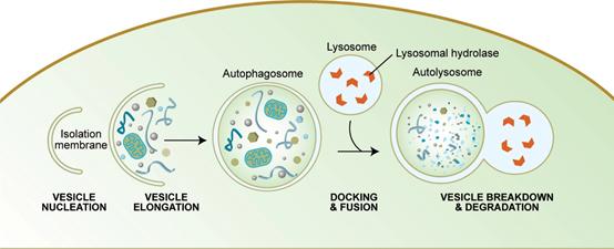 美白高科技测评,好用的黑科技美白产品
