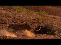 搞笑gif趣图这是真把姑娘惹怒了啊,三个二货搞笑图片