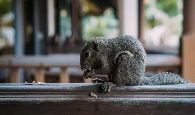 马来西亚五日游吉隆坡槟城仙本那,马来西亚仙本那和槟城哪个值得去