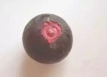 山竹如何快速的剥开,山竹怎么剥开里面的肉