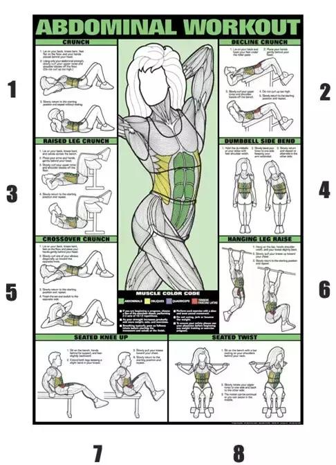 腹肌究竟是练出来的还是天生的,真正的腹肌是什么样子的