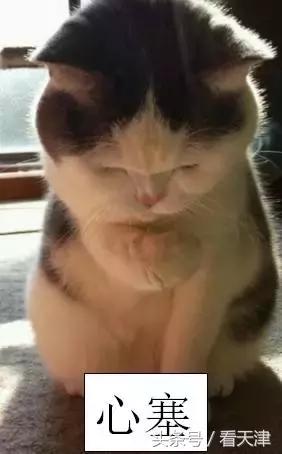 天津避暑胜地推荐,天津避暑胜地