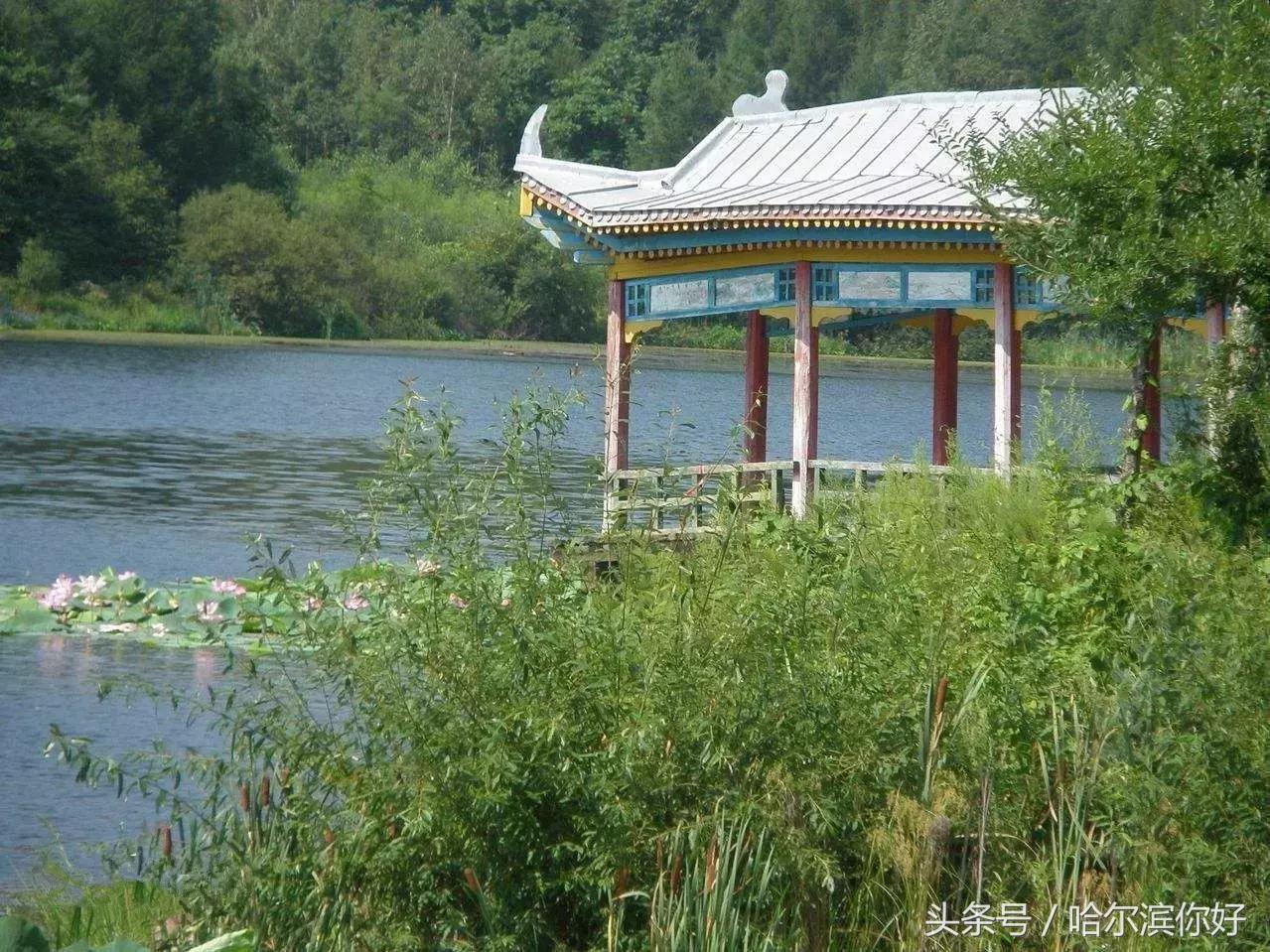 哈尔滨尚志要开挂了！如果三年后你还在尚志，将面对的竟是这些