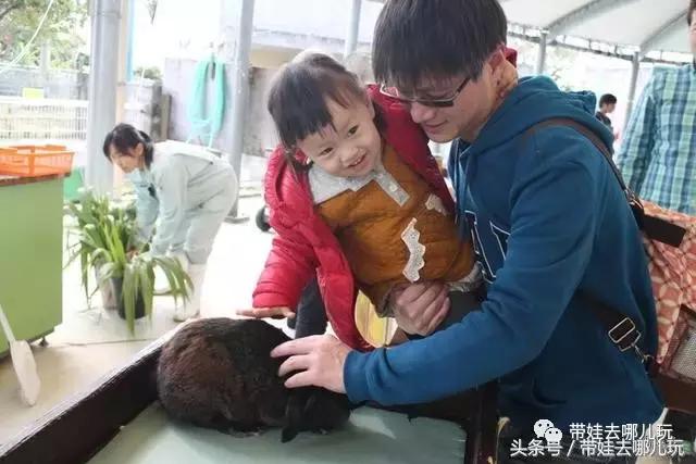 冲绳亲子游最强攻略,冲绳带娃旅游攻略