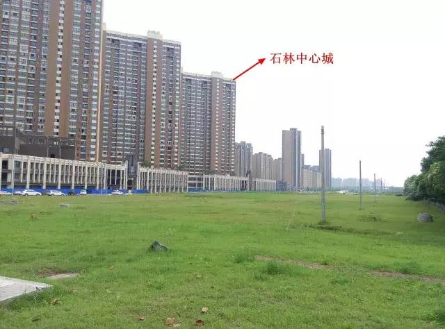 万达、苏宁都没来!龙湖景瑞拿地挺进南京*合六**!