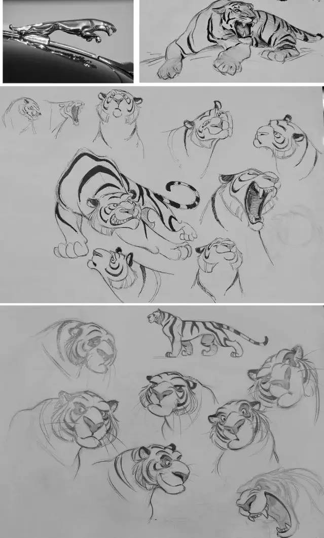 动画设计制作全过程简单,动画片制作教程