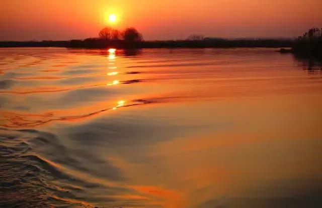 为什么要回到乡村,为什么要回到家乡