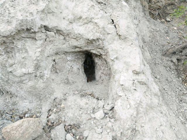 大家都成年人了有什么事不能做,大家都是成年人了有些事没必要说