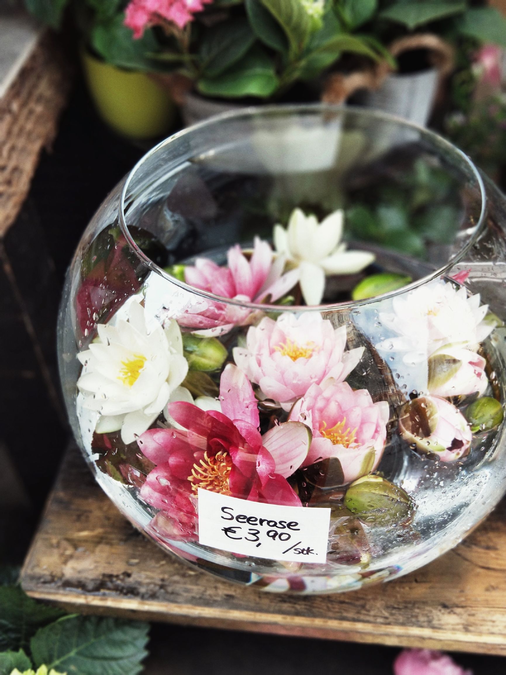 旅游如何让自己的气质更好,手机怎样拍出商品高级感视频