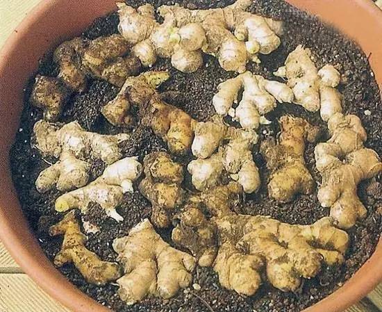 重庆小面的做法教程新手零基础学,你知道重庆小面有多少种调料