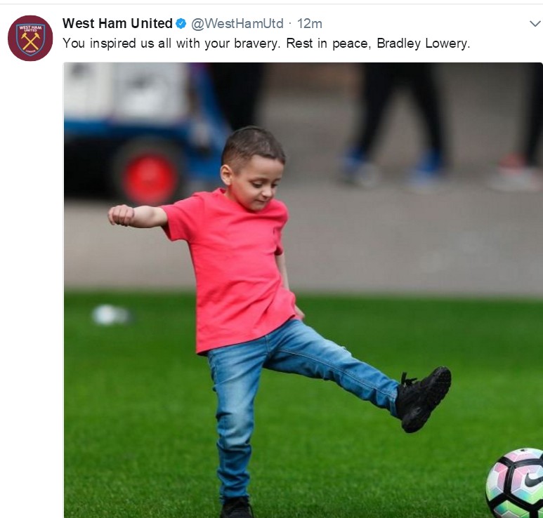 小布拉德利视频,小布拉德利最后的话