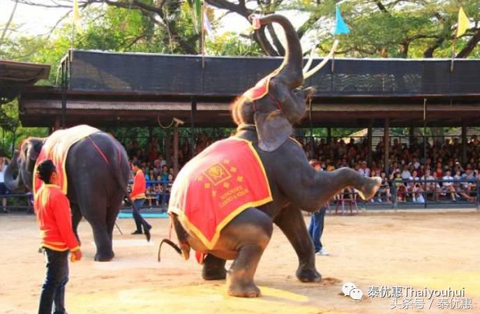 泰国探索游乐场,探秘泰国