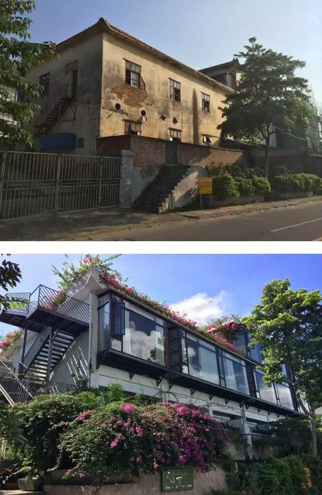 七星岩夏天的荷花图片,七星岩景区有荷花吗