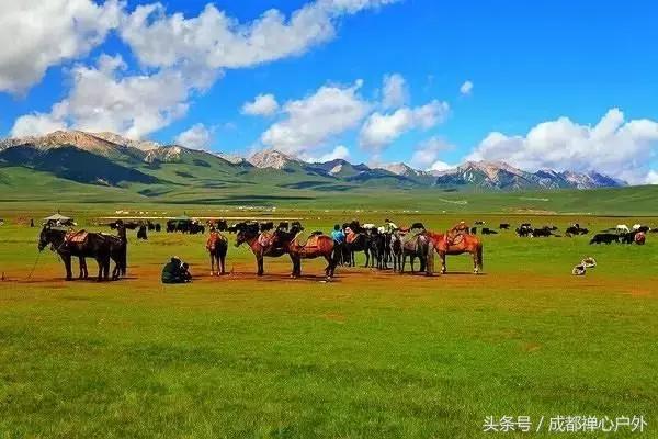 甘南年宝玉则景区,甘肃宝玉则旅游攻略