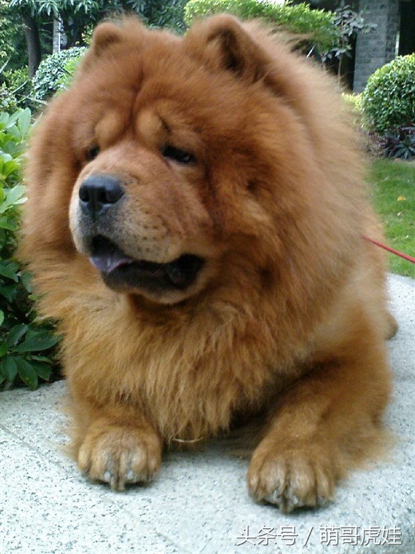 澶忓ぉ鏉ヤ簡鐚ゴ,澶忓ぉ鏉ヤ簡瑕佺粰鐚壀姣涘悧