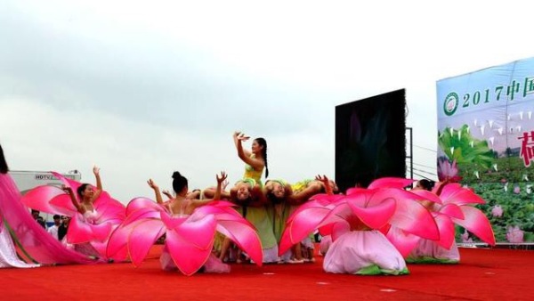 娣槼鑽疯姳鑺傚叕浜よ溅骞挎挱,娣槼鑽疯姳鑺傚幓鍝噷鍧愯埞