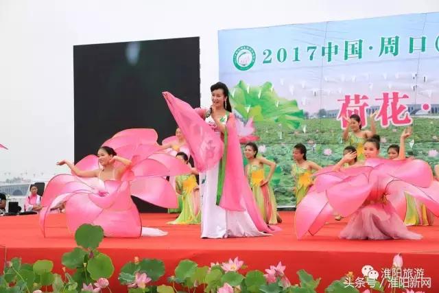 中国淮阳荷花节游龙湖赏荷花,欢迎大家来淮阳龙湖赏荷花
