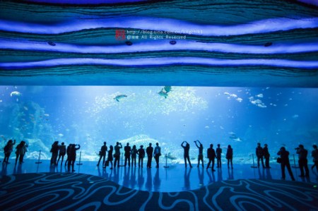 珠海长隆海洋王国游玩攻略一日游,珠海长隆海洋世界游玩攻略