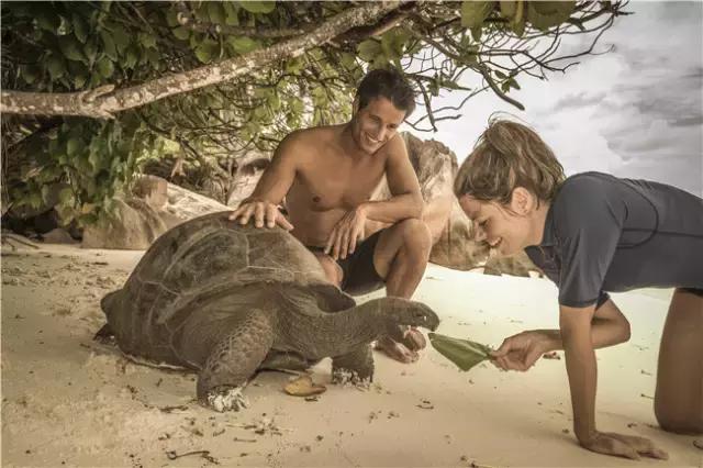 去塞舌尔用不用护照,塞舌尔护照免签国2024