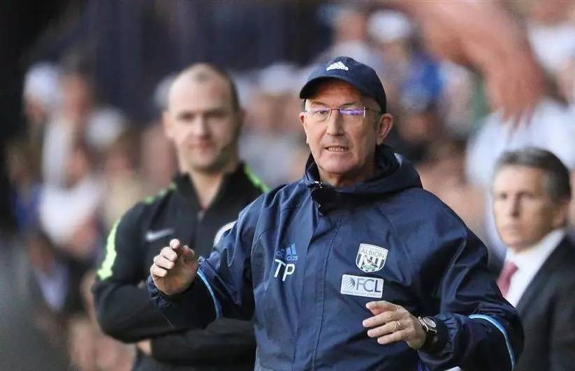 棕榈股份西布朗,棕榈制造