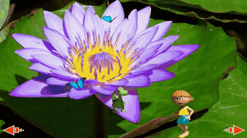 神奇的植物种子传播方法,我还知道哪些植物靠旅行传播种子