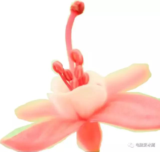 电脑滚动截屏正确使用方法,电脑网页怎么截屏最简单方法