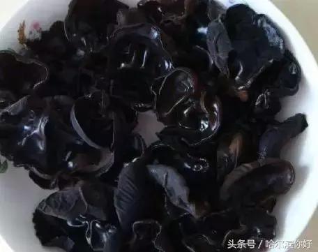 哈尔滨尚志未来5年规划,哈尔滨尚志最新规划