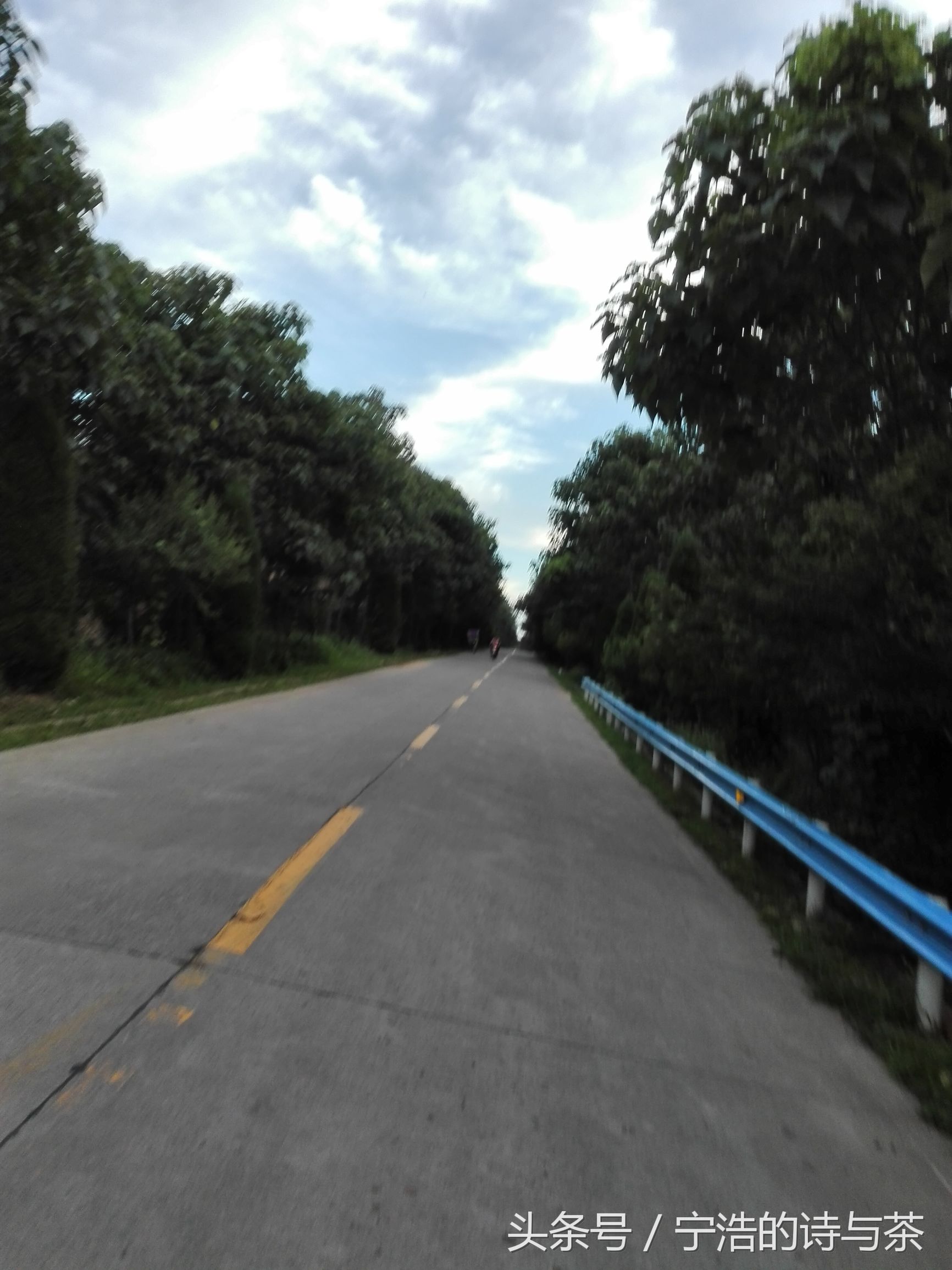 那土坯小屋里的惊魂一夜蝎子蛰伏在我头顶瓦片上