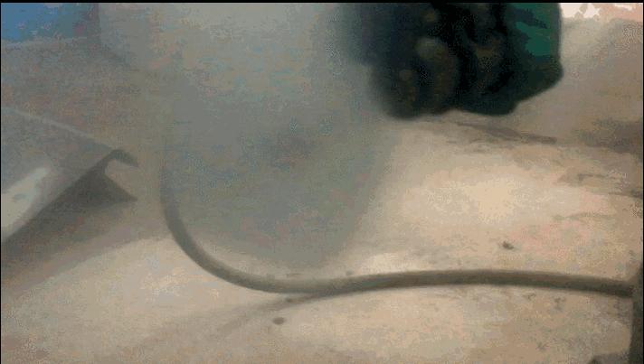 爆改五菱不算啥，氮气加速的捷达来虐他