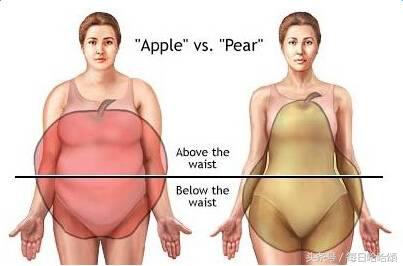燃脂瘦肚子腰部赘肉,什么运动瘦腰部赘肉