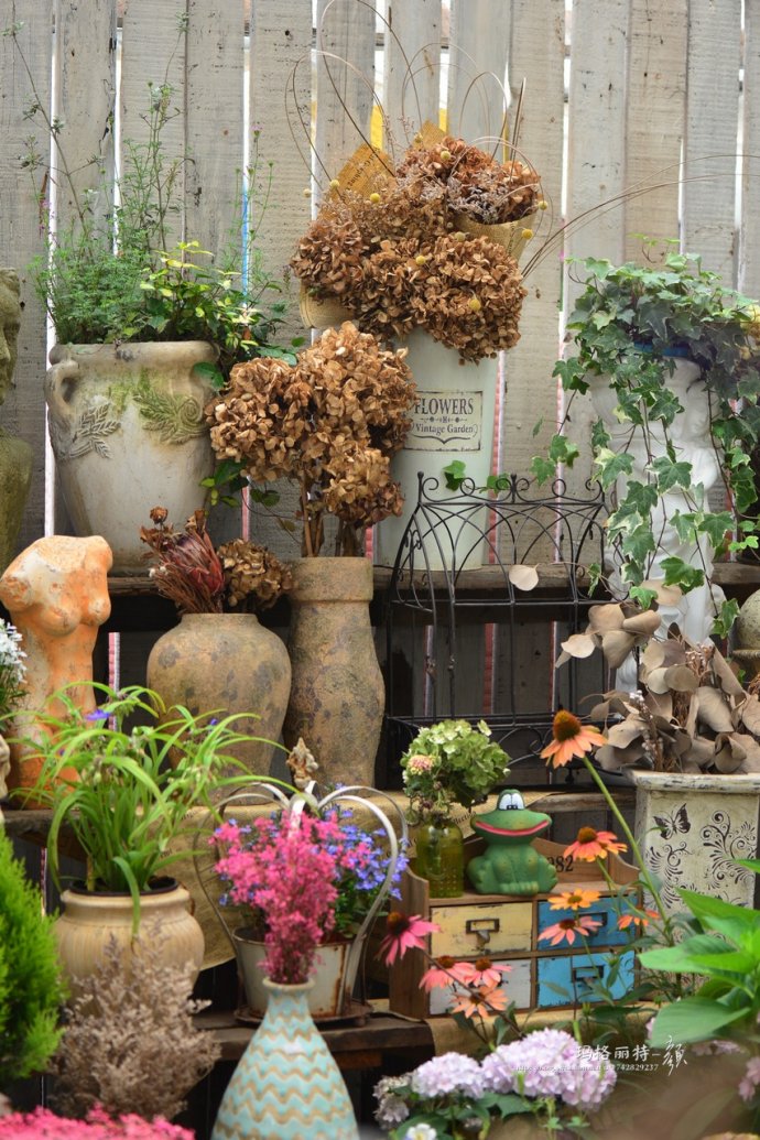 花园拜访,成都玛莉亚色彩花园电话