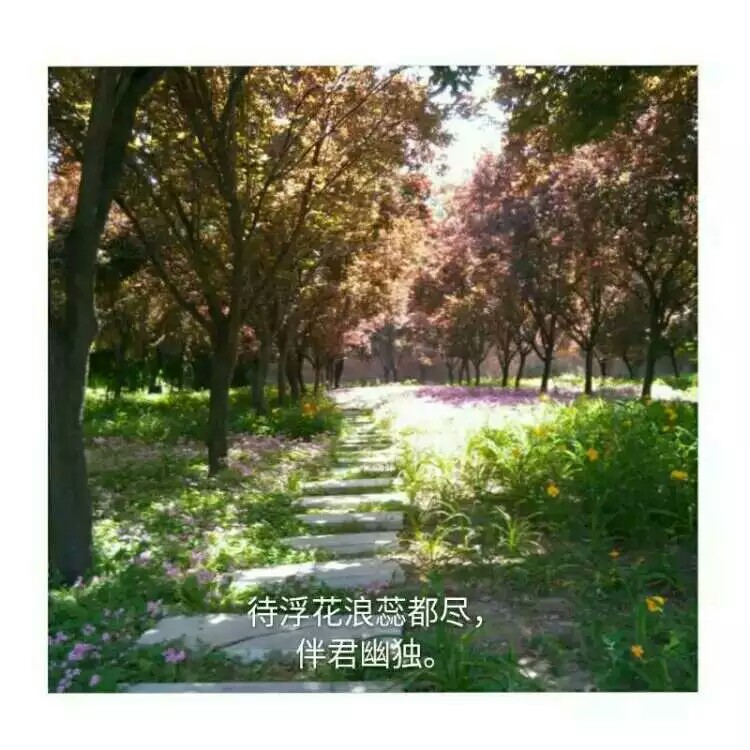 山东德州学院有望成功“申硕”,山东德州学院保洁阿姨