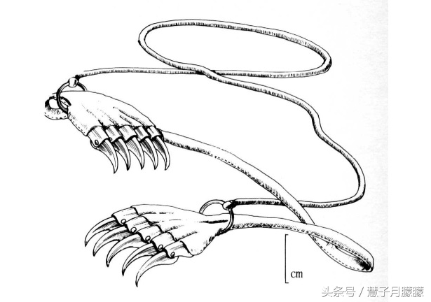 世界十大冷兵器杀伤力排名,世界十大大杀器冷兵器