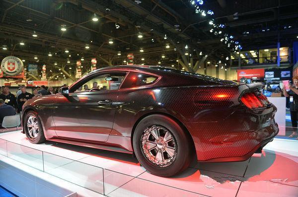 最新眼镜王蛇,近期眼镜王蛇视频