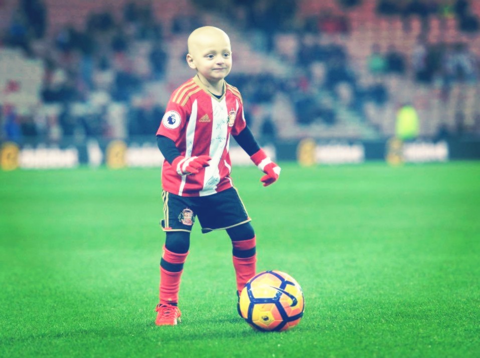 小布拉德利最后的话,小布拉德利视频