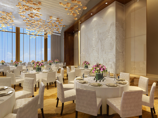 七星级酒店中国有几家,七星级酒店是什么样的