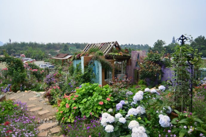 成都玛莉亚色彩花园,成都玛莉亚色彩花园电话