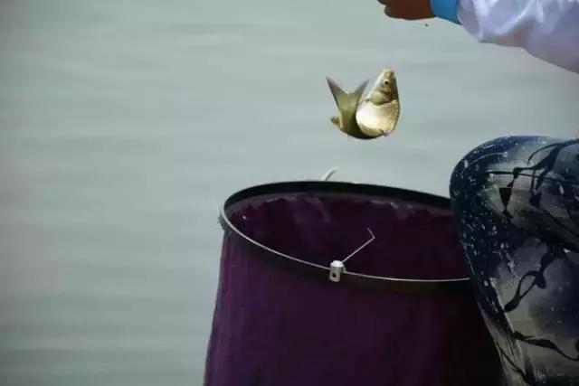 新手钓鱼入门基本功,新手钓鱼怎么学才会