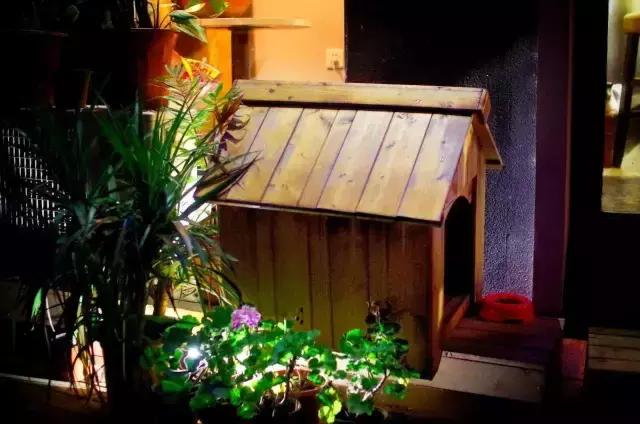 贵阳最劲爆的酒吧,贵阳hardstar酒吧