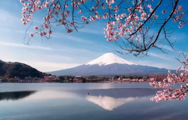 签证过期了还没出去怎么办,签证在有效期护照过期了怎么办