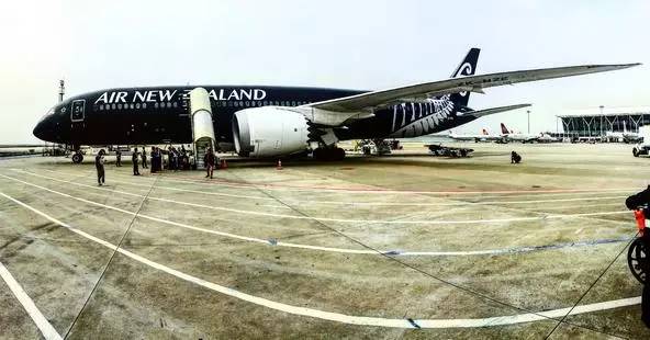 飞翔的新西兰人：这群人把10+小时的航班变成了一种乐趣