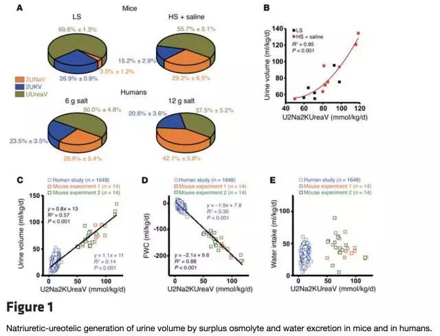 吃盐真的会有力气吗,吃盐口渴是低渗还是高渗
