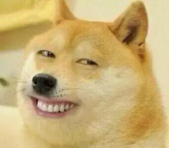 狗狗救命小知识,狗狗吃完粑粑之后怎么办