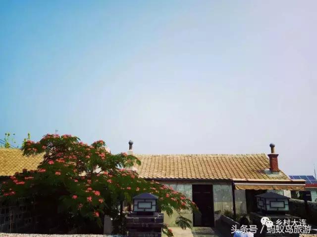 蚂蚁岛一日游,蚂蚁岛半日游