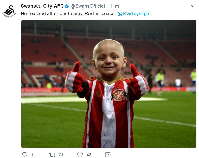 小布拉德利视频,小布拉德利最后的话