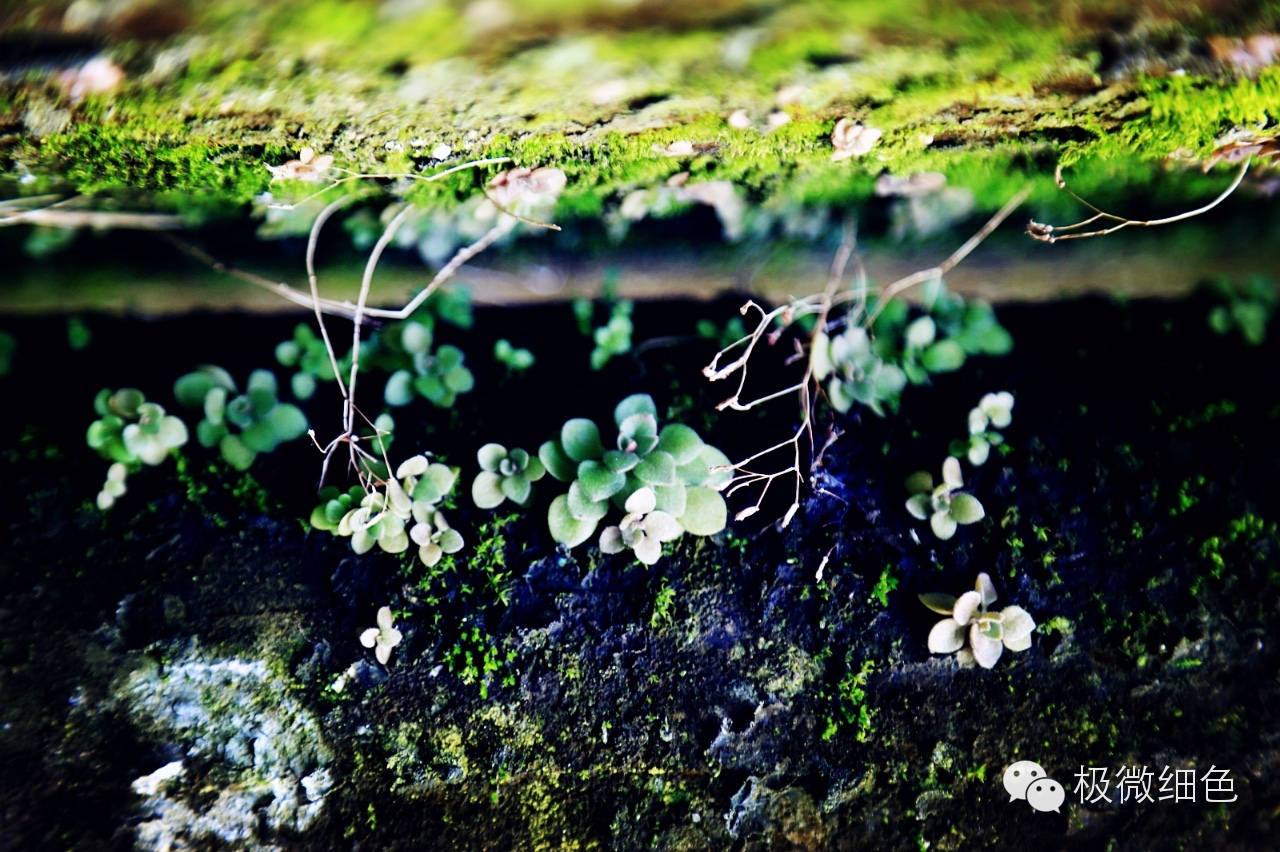 涔惧煄婀樿タ,婀樿タ涔惧煄鍙ゅ煄